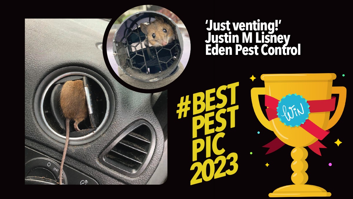 best-pest-pic-winner-2023 best-pest-pic-winner-2023